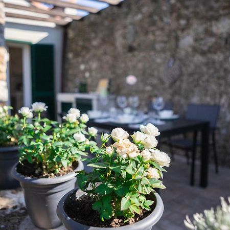Apartmán Gardenhouse Sarzana Exteriér fotografie
