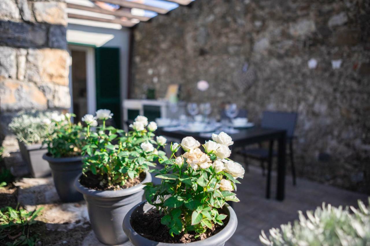 Apartmán Gardenhouse Sarzana Exteriér fotografie